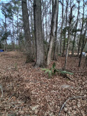 $40,000 | 0 Crumley Road, Unit LOT 47 AND 47A, Walterboro, SC 29488