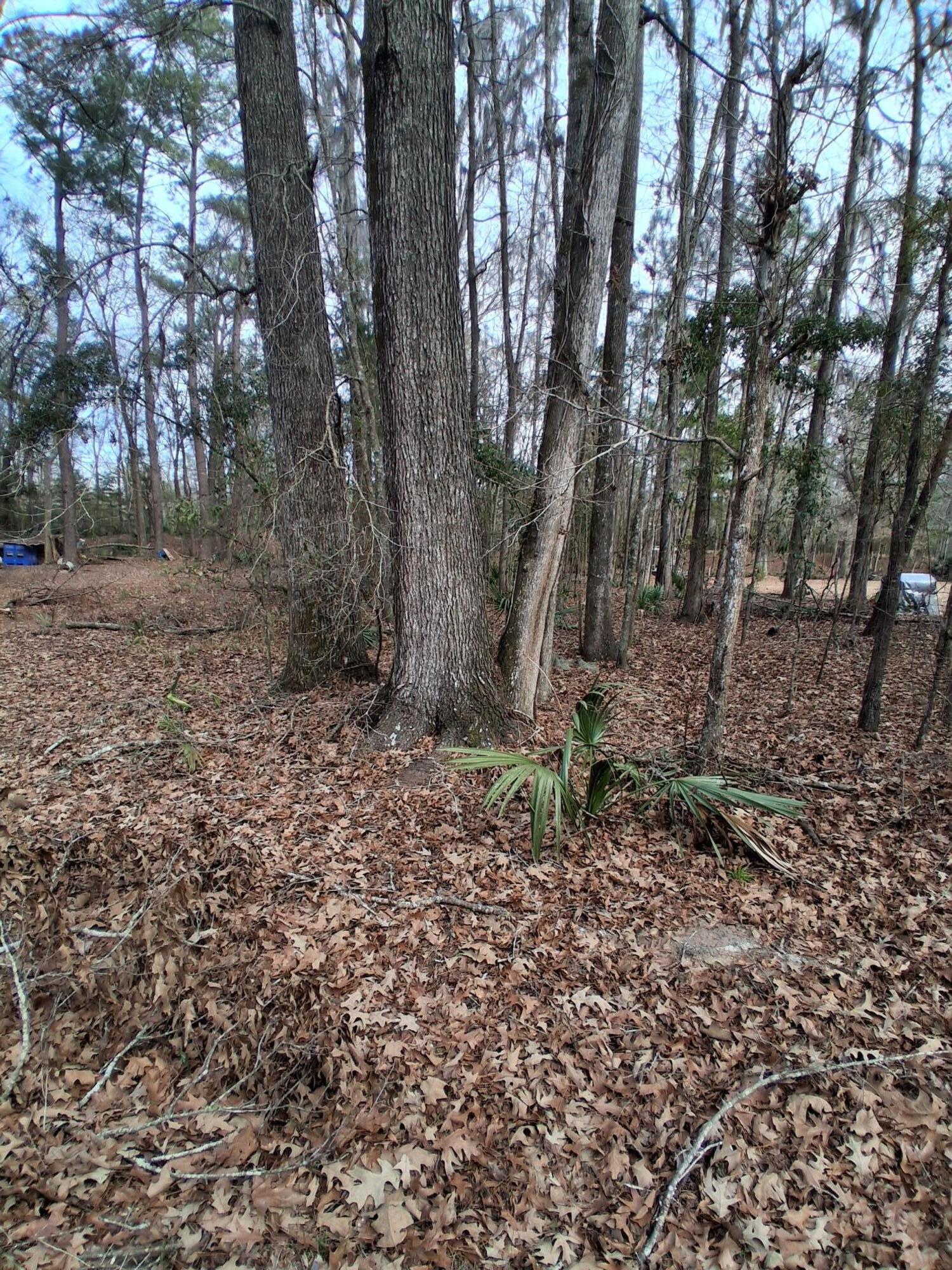 0 Crumley Road, Unit LOT 47 AND 47A Walterboro, SC 29488 - Photo 5 of 7 812