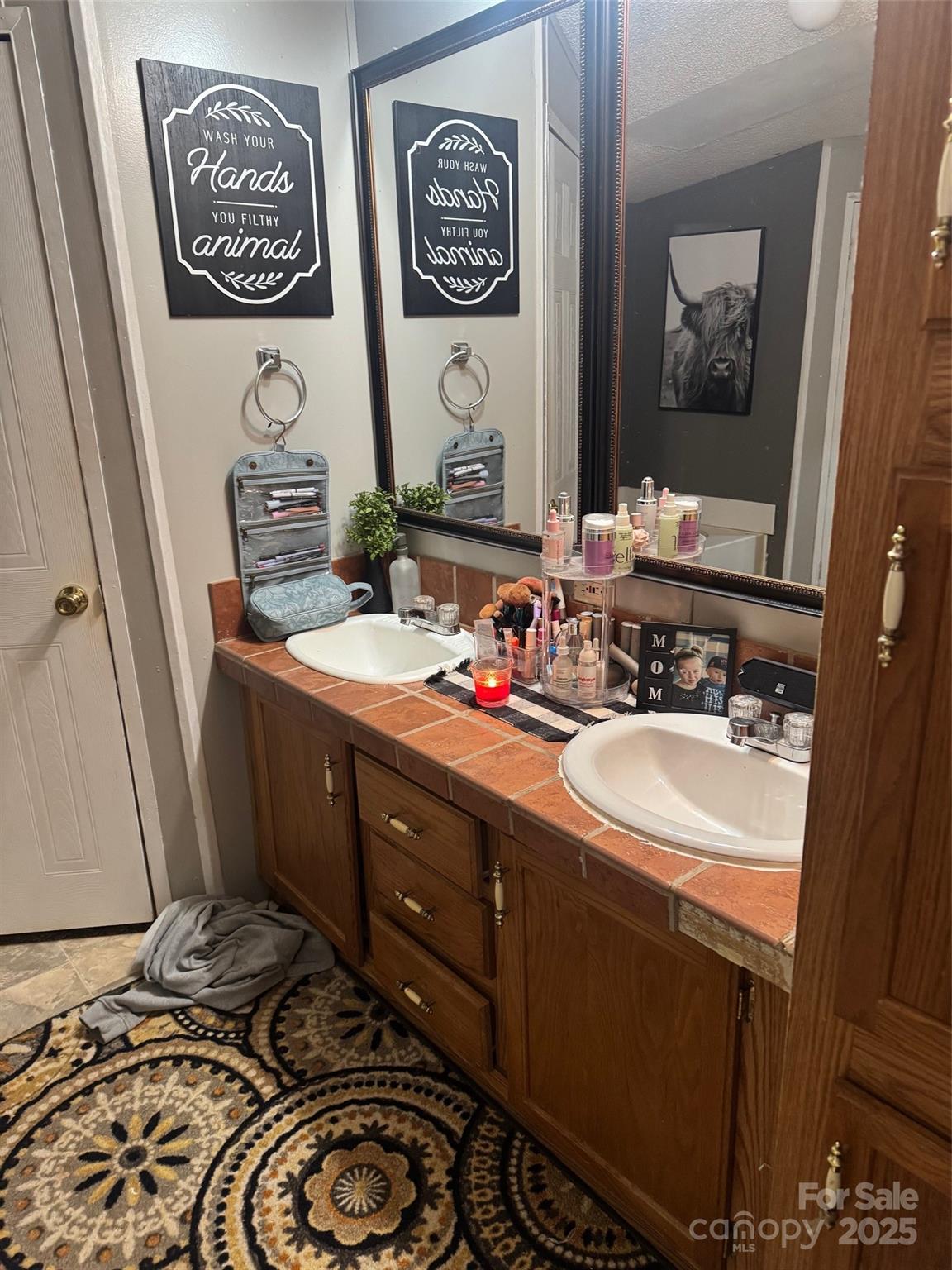 456 Cornelius Road Mooresville, NC 28117 - Photo 16 of 19 a bathroom with a sink and a mirror