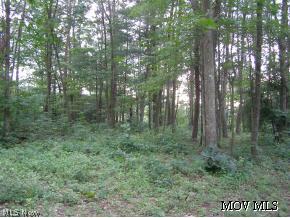 0 Park Road Cairo, WV 26337 - Photo 2 of 6