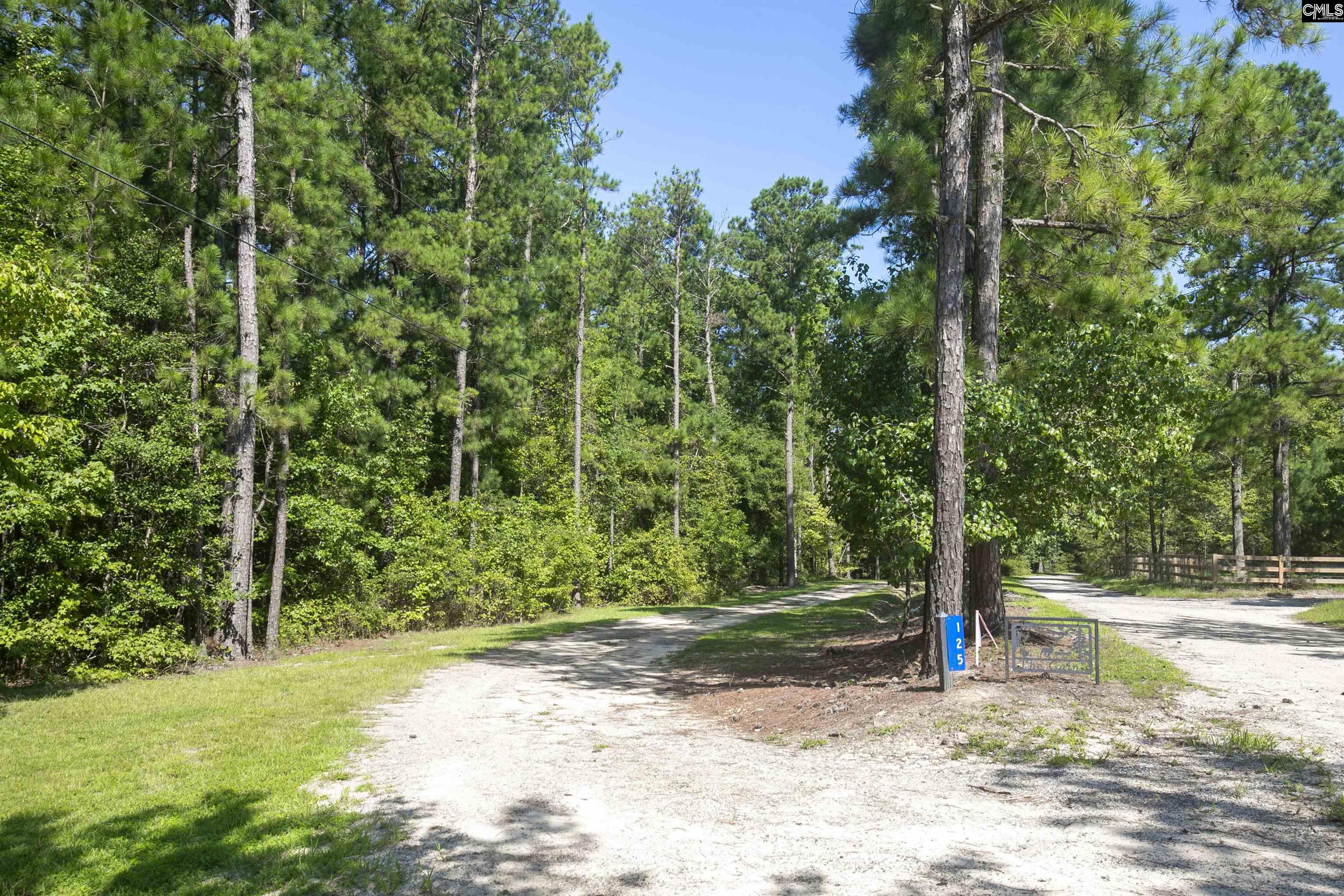 125 Hayfield Road Lugoff, SC 29078 - Photo 4 of 81