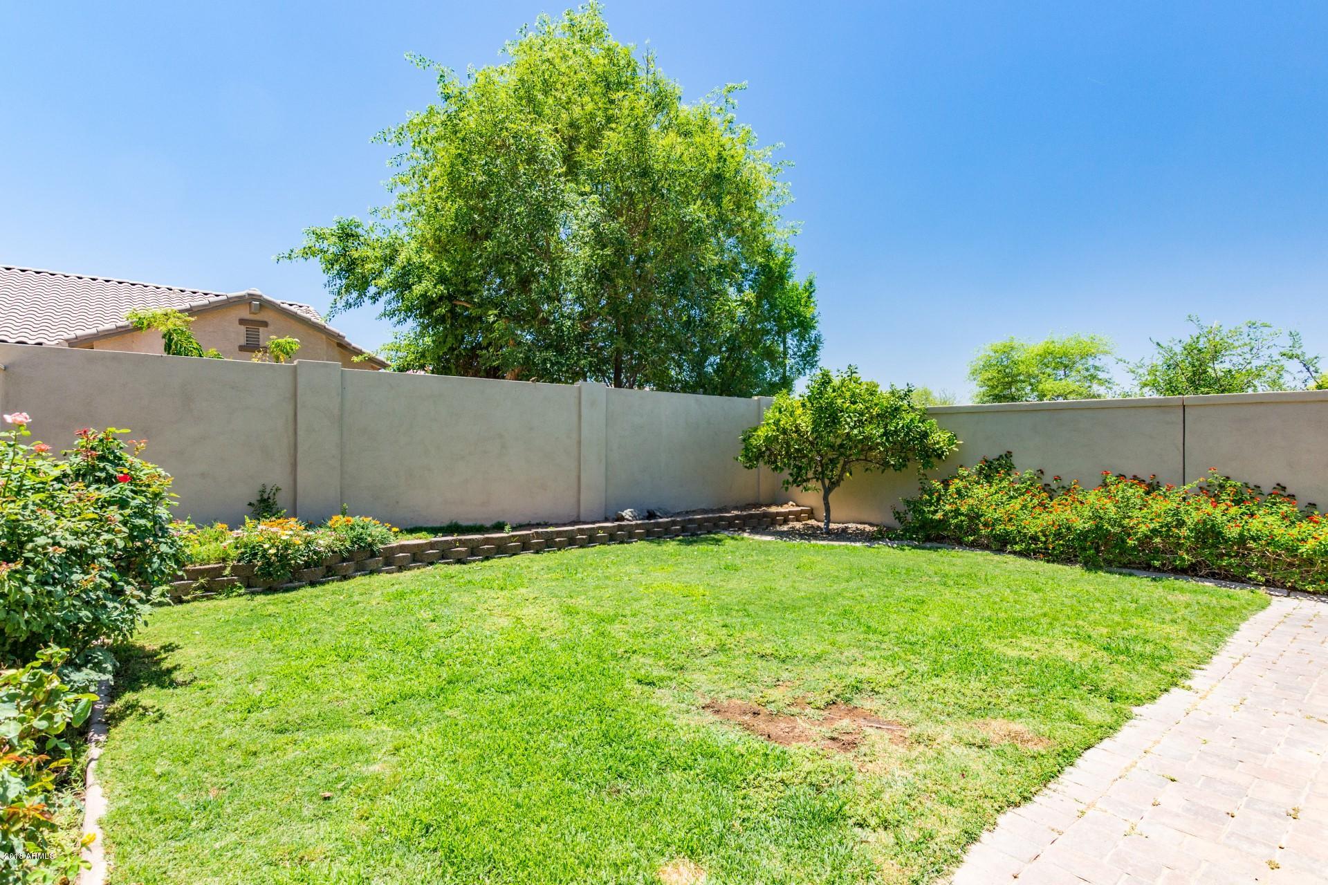 3081 East Blue Ridge Way Gilbert, AZ 85298 - Photo 36 of 47 Blue Ridge - 3081 (28)