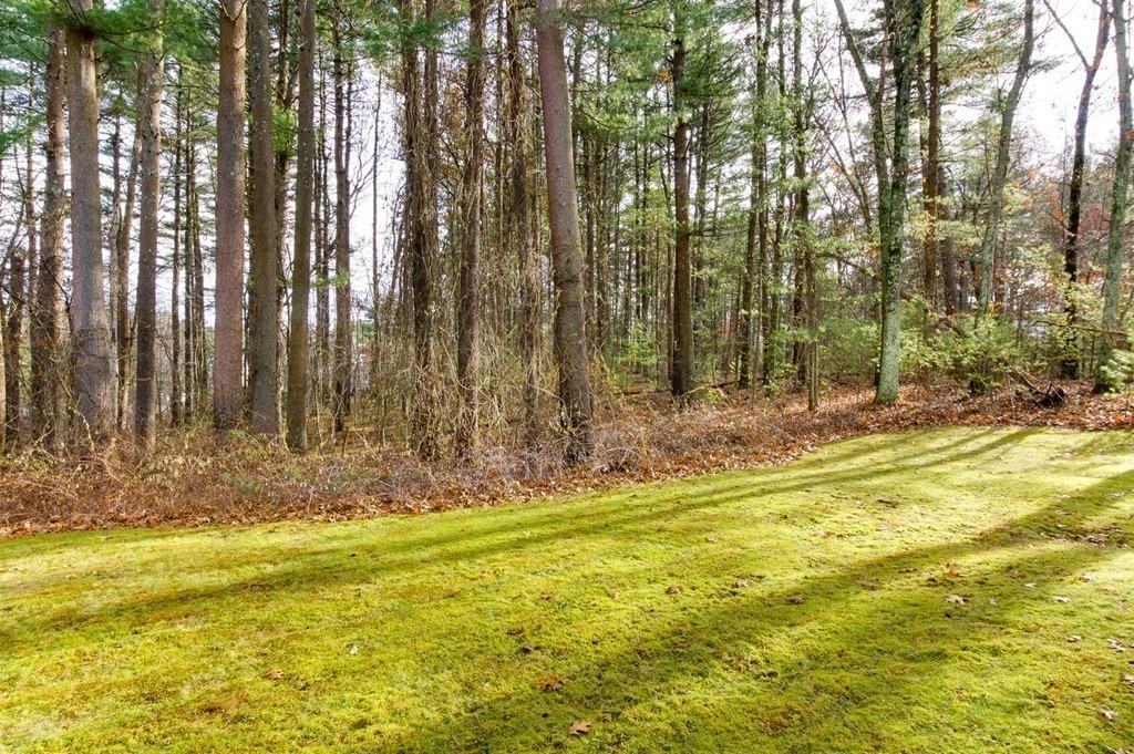 33 Plain Road Westford, MA 01886 - Photo 12 of 12 Gallery Image 12