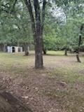 420 Post Oak Road Wills Point, TX 75169 - Photo 18 of 19 a view of a yard with a tree