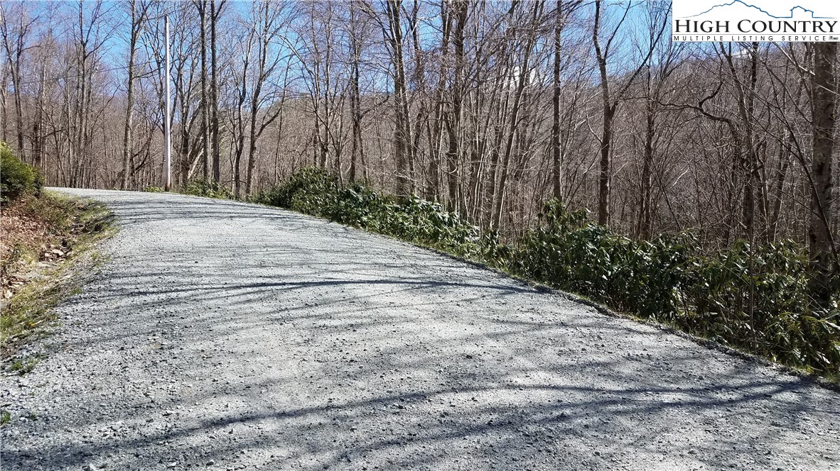 305 Jackpine Road Beech Mountain, NC 28604 - Photo 3 of 8