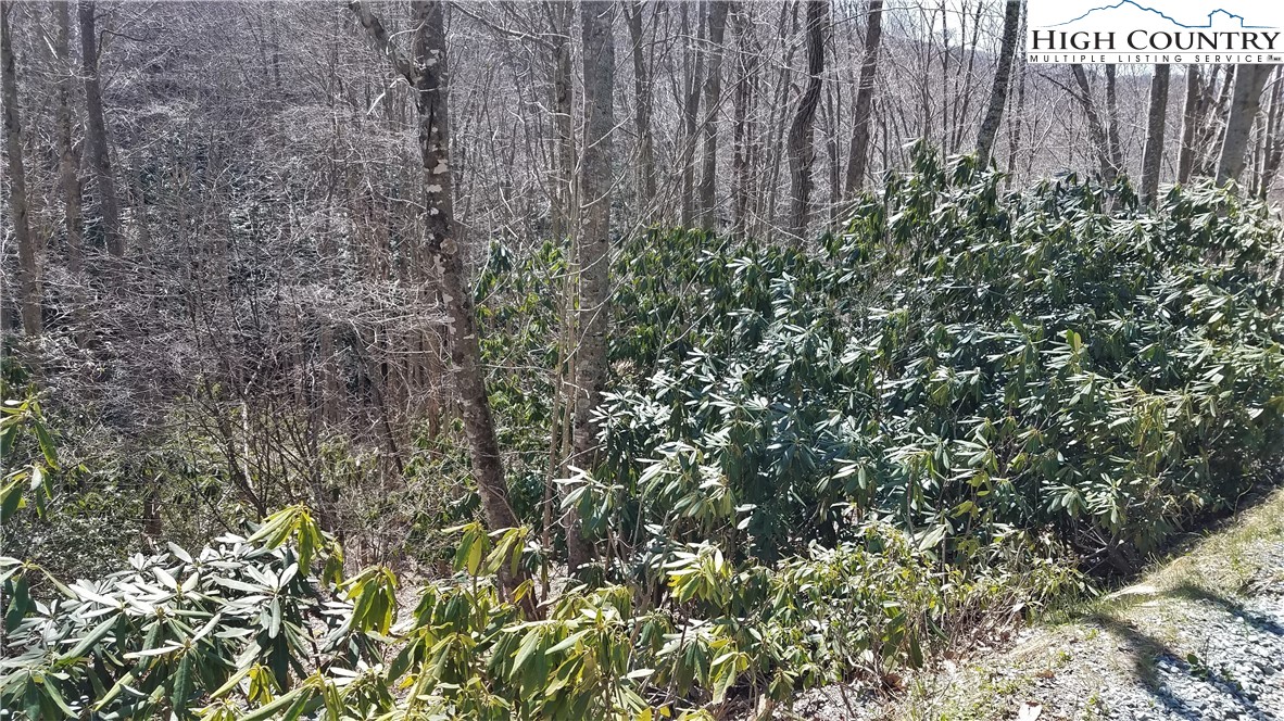 305 Jackpine Road Beech Mountain, NC 28604 - Photo 7 of 8