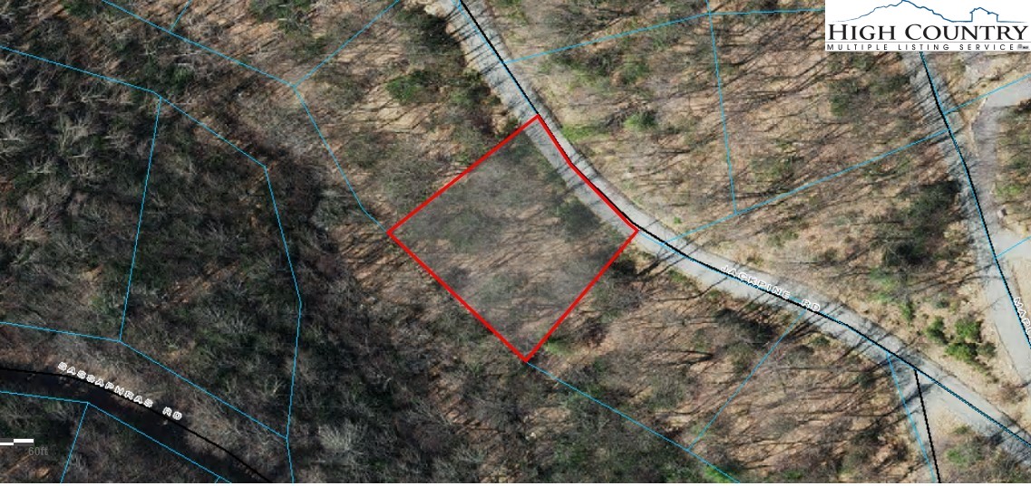 305 Jackpine Road Beech Mountain, NC 28604 - Photo 8 of 8