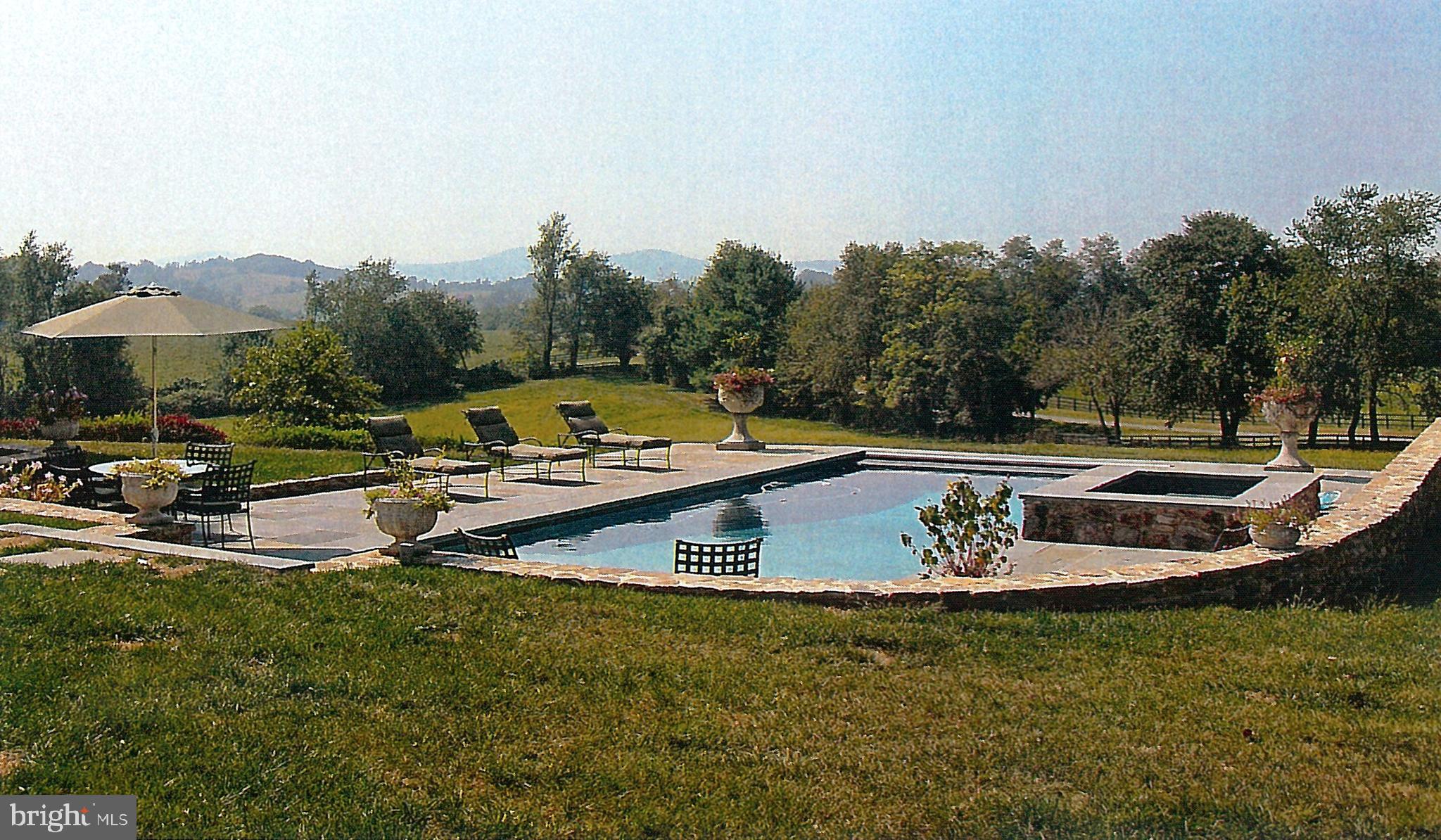 3074 Rectortown Road Marshall, VA 20115 - Photo 36 of 60 pool