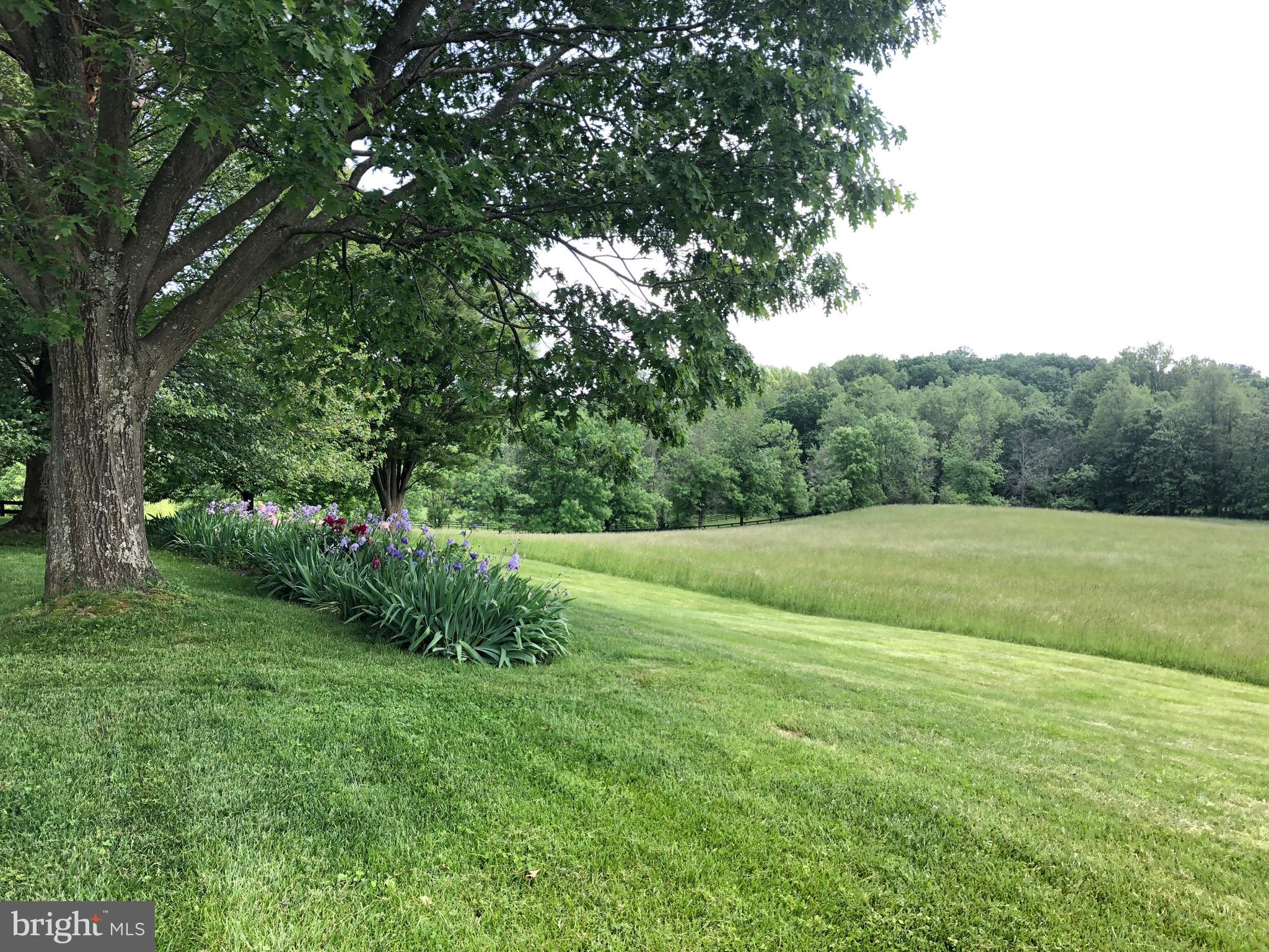 3074 Rectortown Road Marshall, VA 20115 - Photo 5 of 60