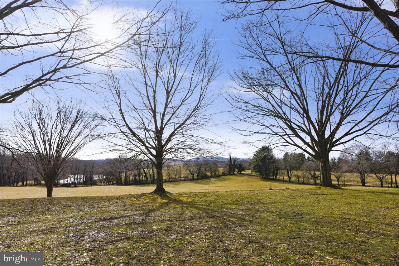 3074 Rectortown Road Marshall, VA 20115 - Photo 41 of 60 back yard