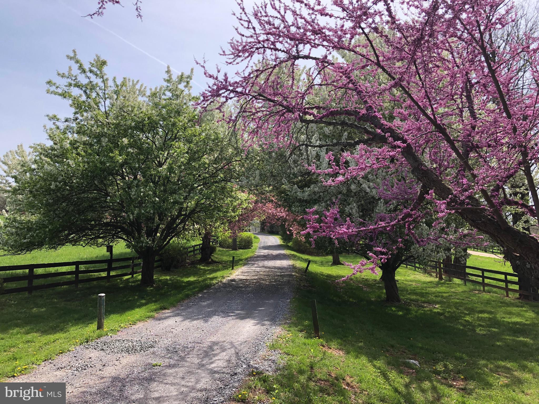 3074 Rectortown Road Marshall, VA 20115 - Photo 45 of 60