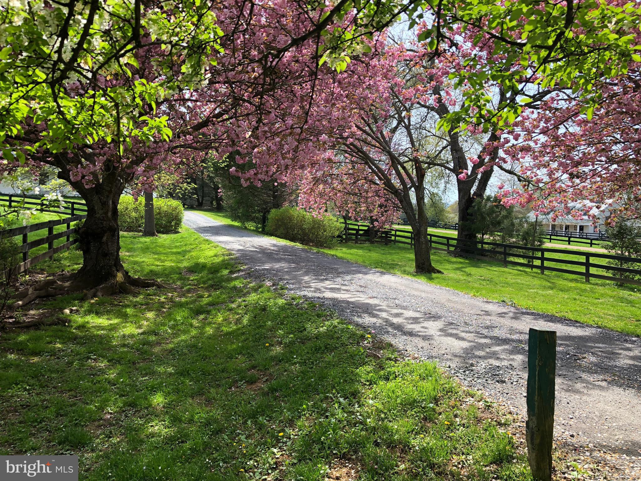 3074 Rectortown Road Marshall, VA 20115 - Photo 46 of 60