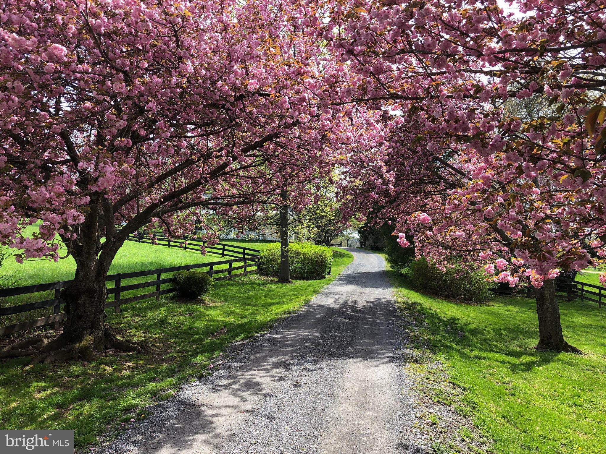 3074 Rectortown Road Marshall, VA 20115 - Photo 47 of 60