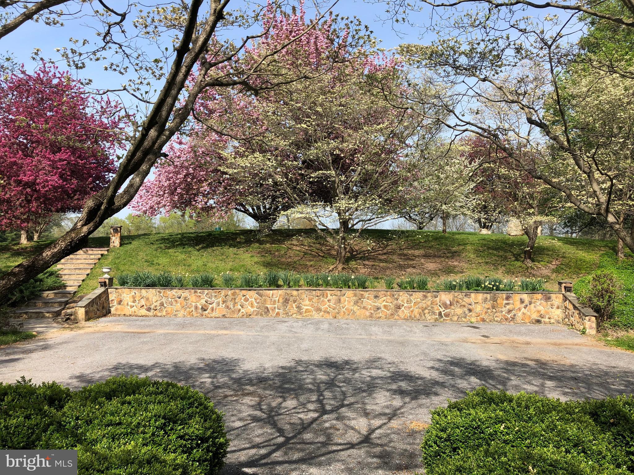 3074 Rectortown Road Marshall, VA 20115 - Photo 50 of 60