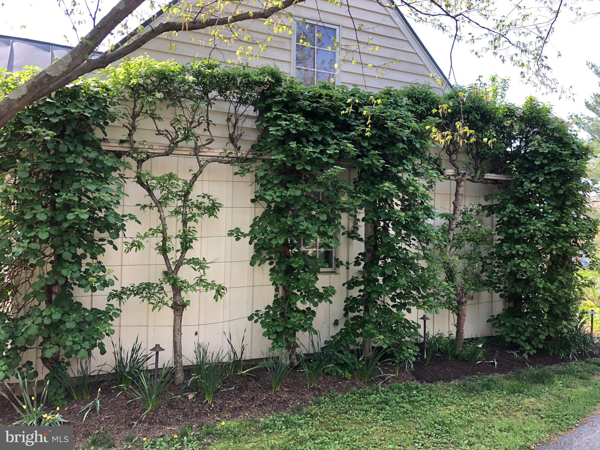 3074 Rectortown Road Marshall, VA 20115 - Photo 51 of 60