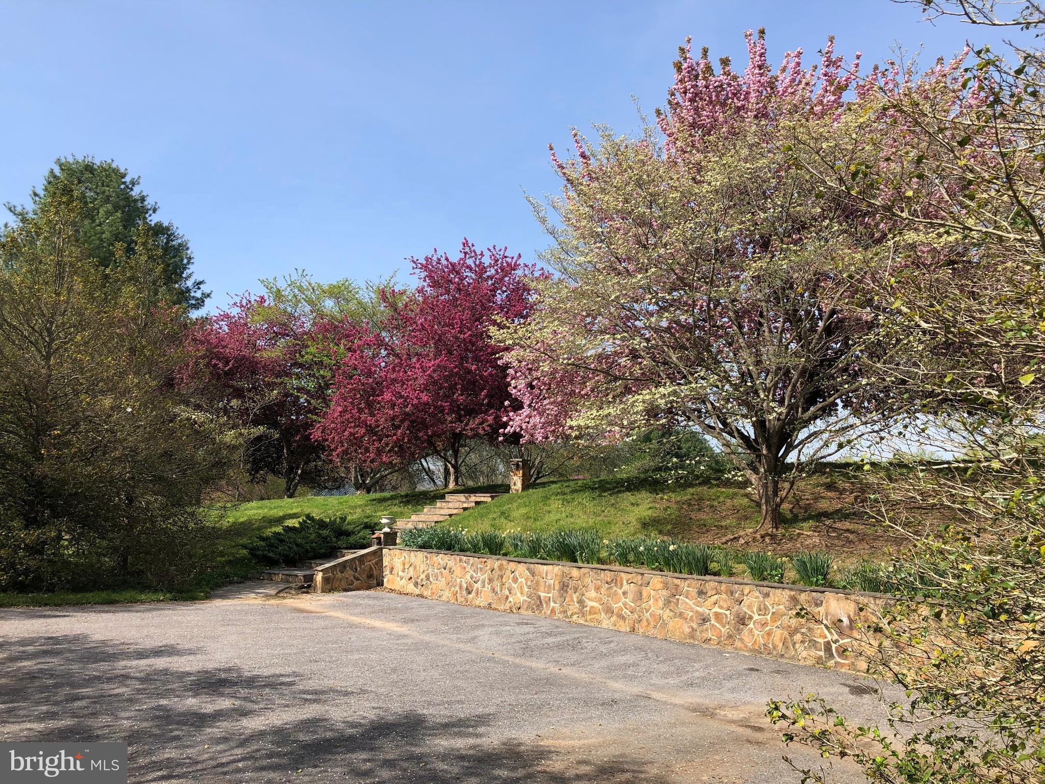 3074 Rectortown Road Marshall, VA 20115 - Photo 53 of 60