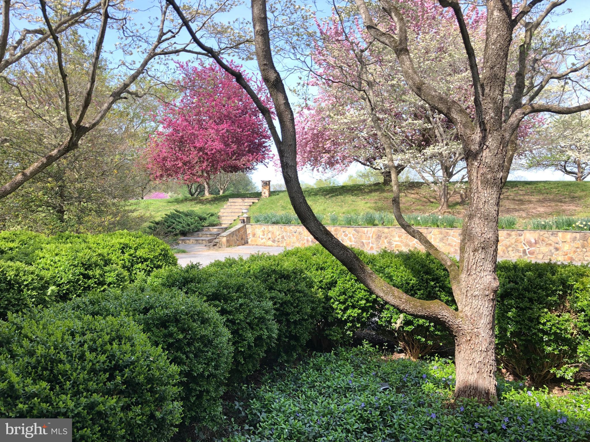 3074 Rectortown Road Marshall, VA 20115 - Photo 54 of 60