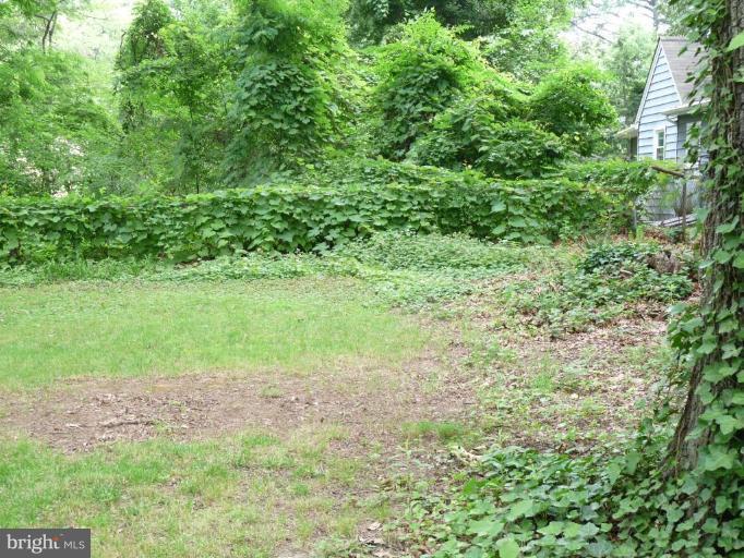 45 Boxwood Road Annapolis, MD 21403 - Photo 3 of 22 Garden