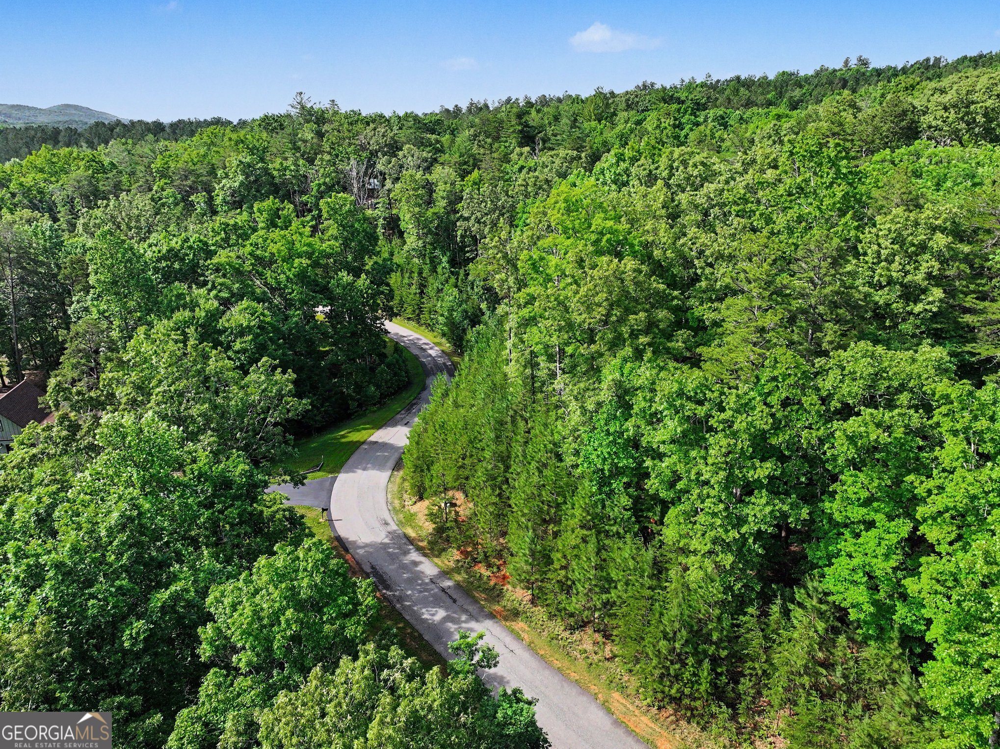 230 Rushing Water Drive Blairsville, GA 30512 - Photo 5 of 22