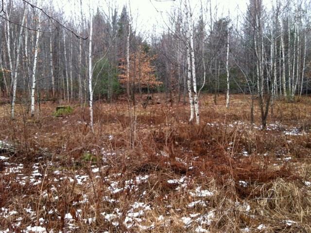 Lot 15 Arab Road Lee, ME 04455 - Photo 6 of 10 Photo