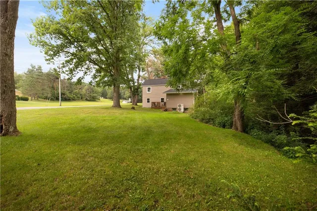 a view of a big yard with large trees
