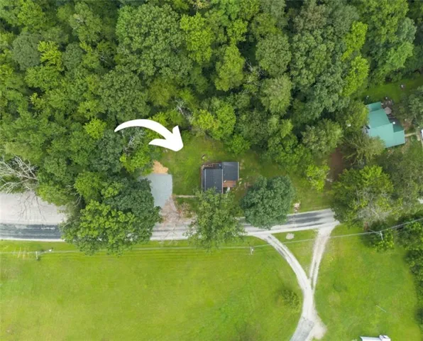 a swimming pool with plants
