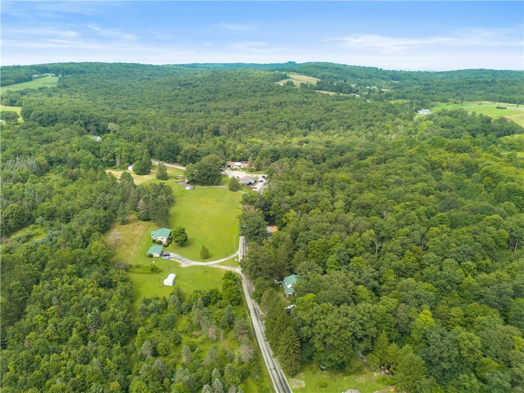 480 Freeman Falls Road Acme, PA 15610 - Photo 43 of 43 a view of a big yard with large trees