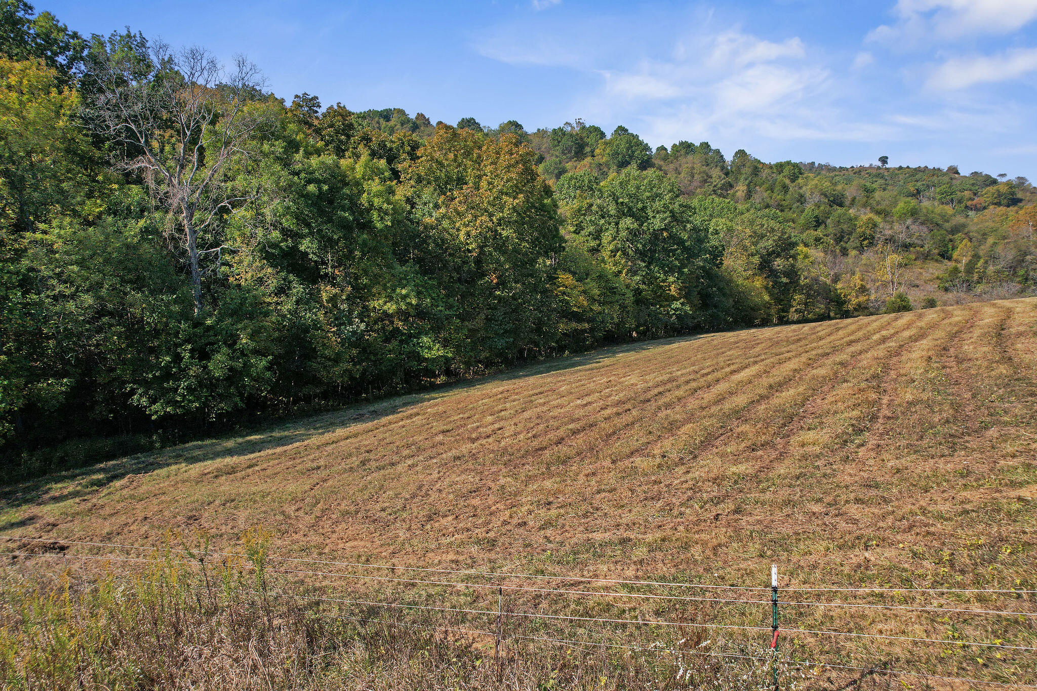 5842 Snag Creek Road Foster, KY 41043 - Photo 44 of 50 Gallery Image 44