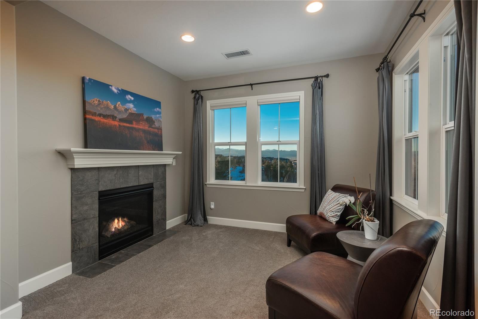 237 Maplehurst Drive Highlands Ranch, CO 80126 - Photo 27 of 49