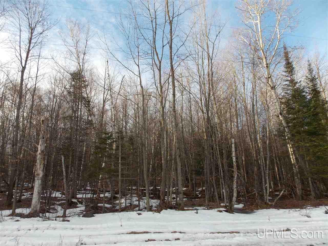 Tbd McNeil Road Baraga, MI 49908 - Photo 7 of 10 Gallery Image 7