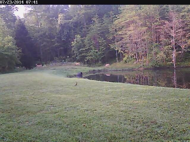 495 Mac Stevens Road McKee, KY 40447 - Photo 14 of 30 Photo 14