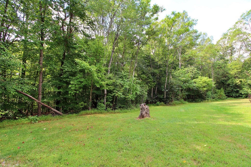 1172 Beckham Road Concord, VA 24538 - Photo 20 of 21 Gallery Image 20