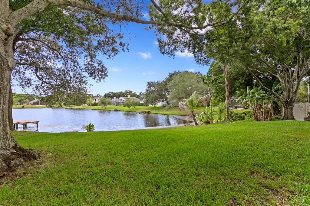 8412 Ridgebrook Circle Odessa, FL 33556 - Photo 57 of 87