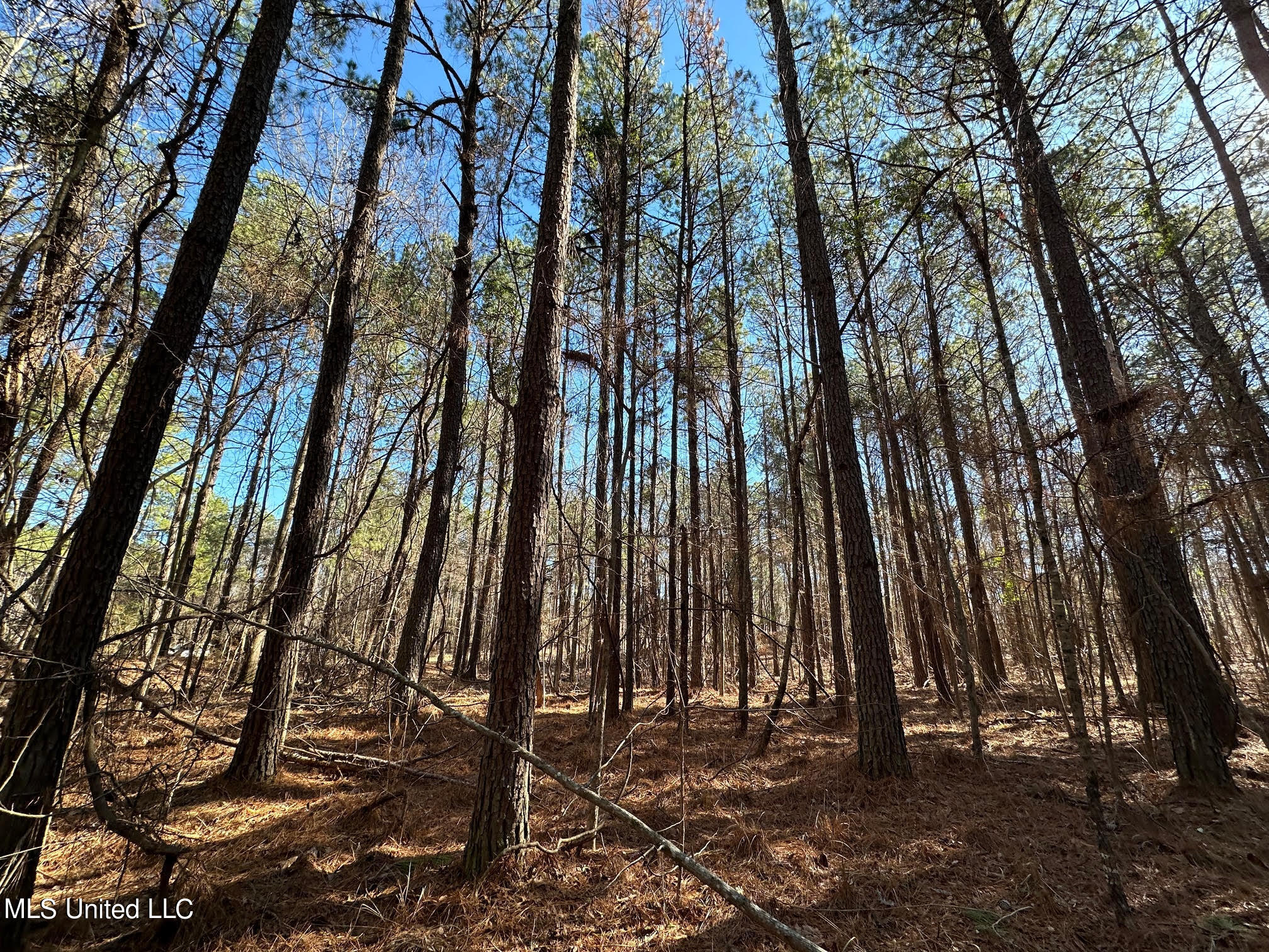 1 Levi Cooper Road Florence, MS 39073 - Photo 1 of 16 140