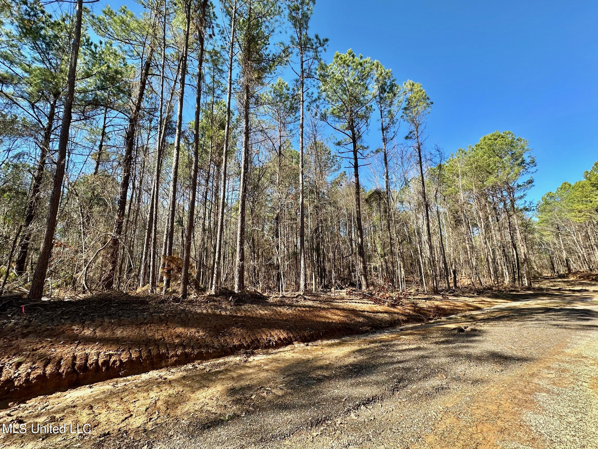 1 Levi Cooper Road Florence, MS 39073 - Photo 9 of 16 100