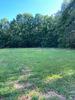 610 Garrison Road Hohenwald, TN 38462 - Photo 15 of 19 Gallery Image 15