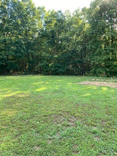 610 Garrison Road Hohenwald, TN 38462 - Photo 3 of 19 Gallery Image 3