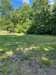 610 Garrison Road Hohenwald, TN 38462 - Photo 4 of 19 Gallery Image 4