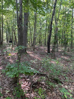 610 Garrison Road Hohenwald, TN 38462 - Photo 7 of 19 Gallery Image 7
