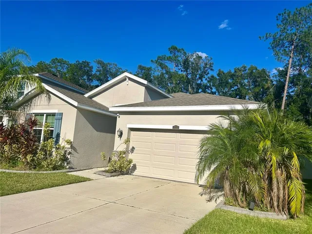 $3,000 | 32959 Sand Creek Drive, Wesley Chapel, FL 33543