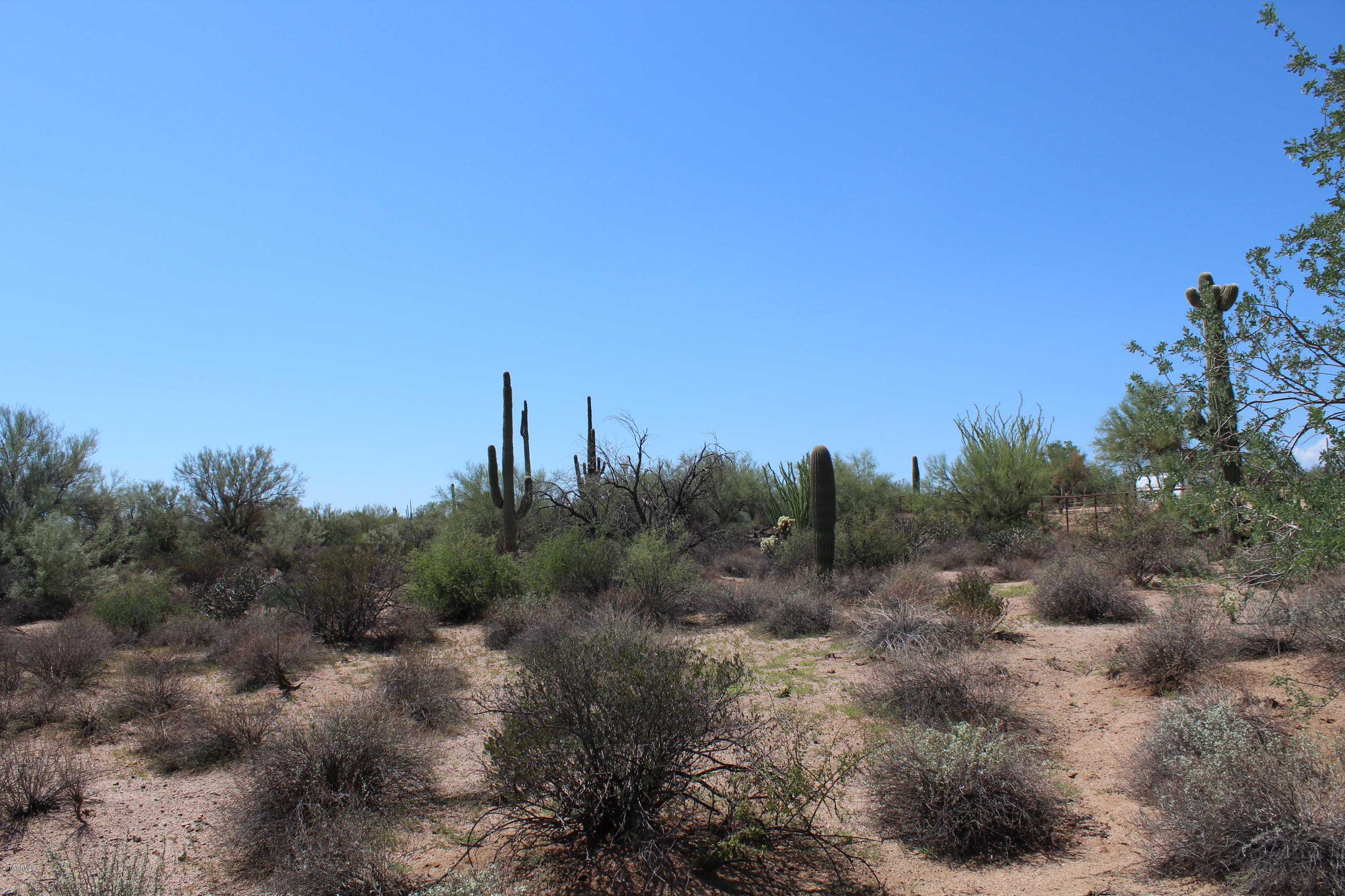 31000 North 174th Street Rio Verde, AZ 85263 - Photo 3 of 22 Fairly Level Lot