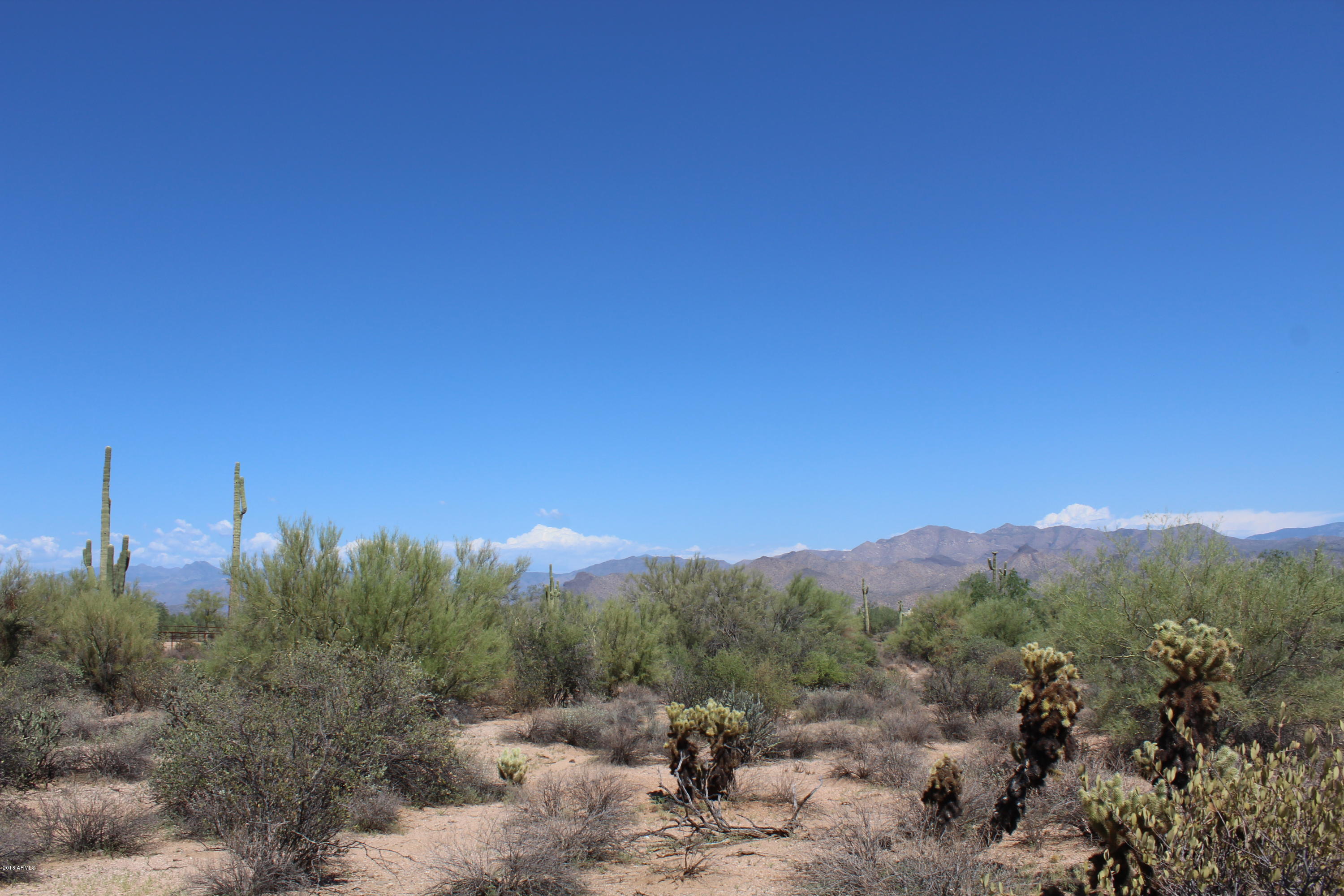 31000 North 174th Street Rio Verde, AZ 85263 - Photo 5 of 22 Peaceful