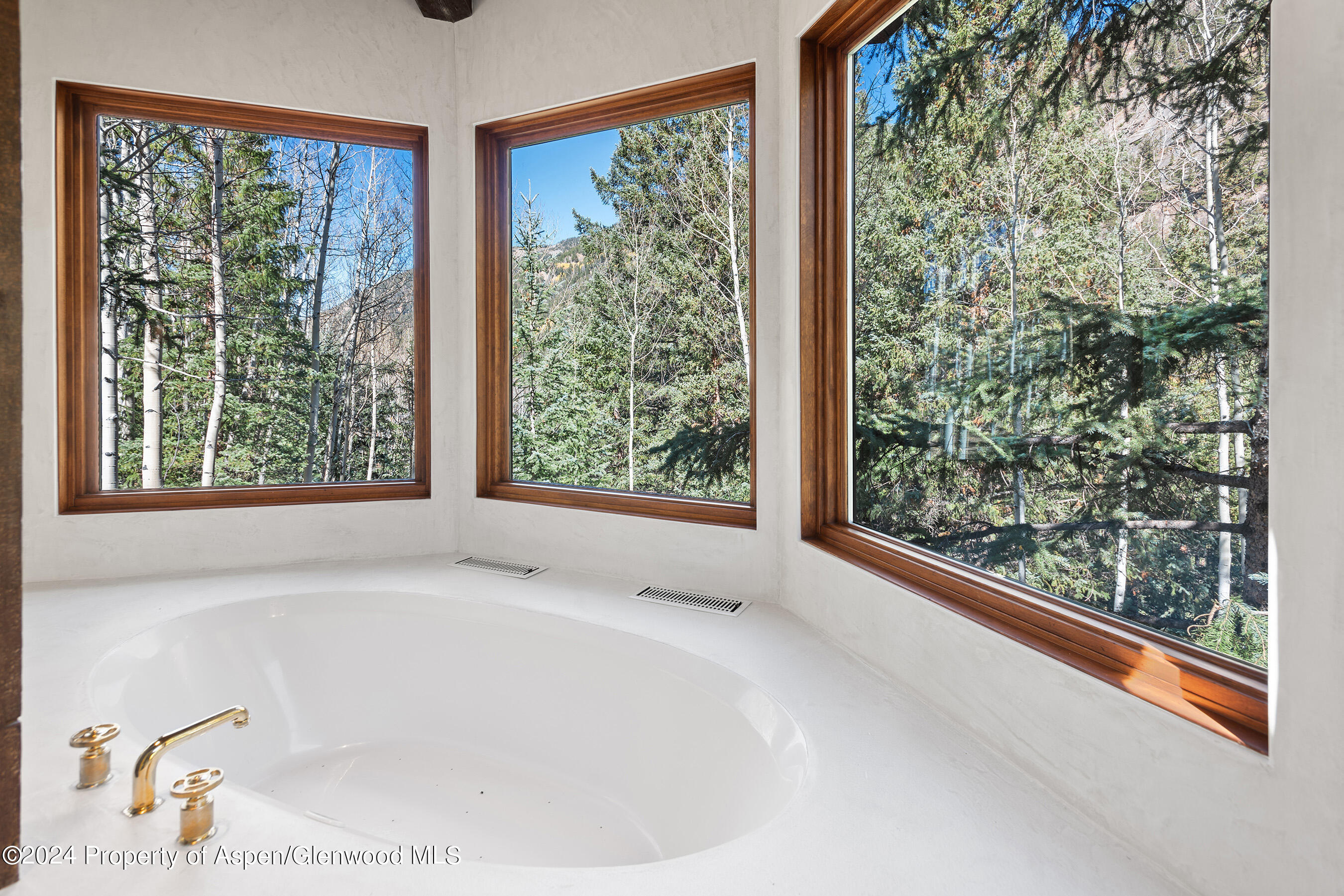 9888 Castle Creek Road Aspen, CO 81612 - Photo 25 of 51 9888CastleCreek_DASH23101026