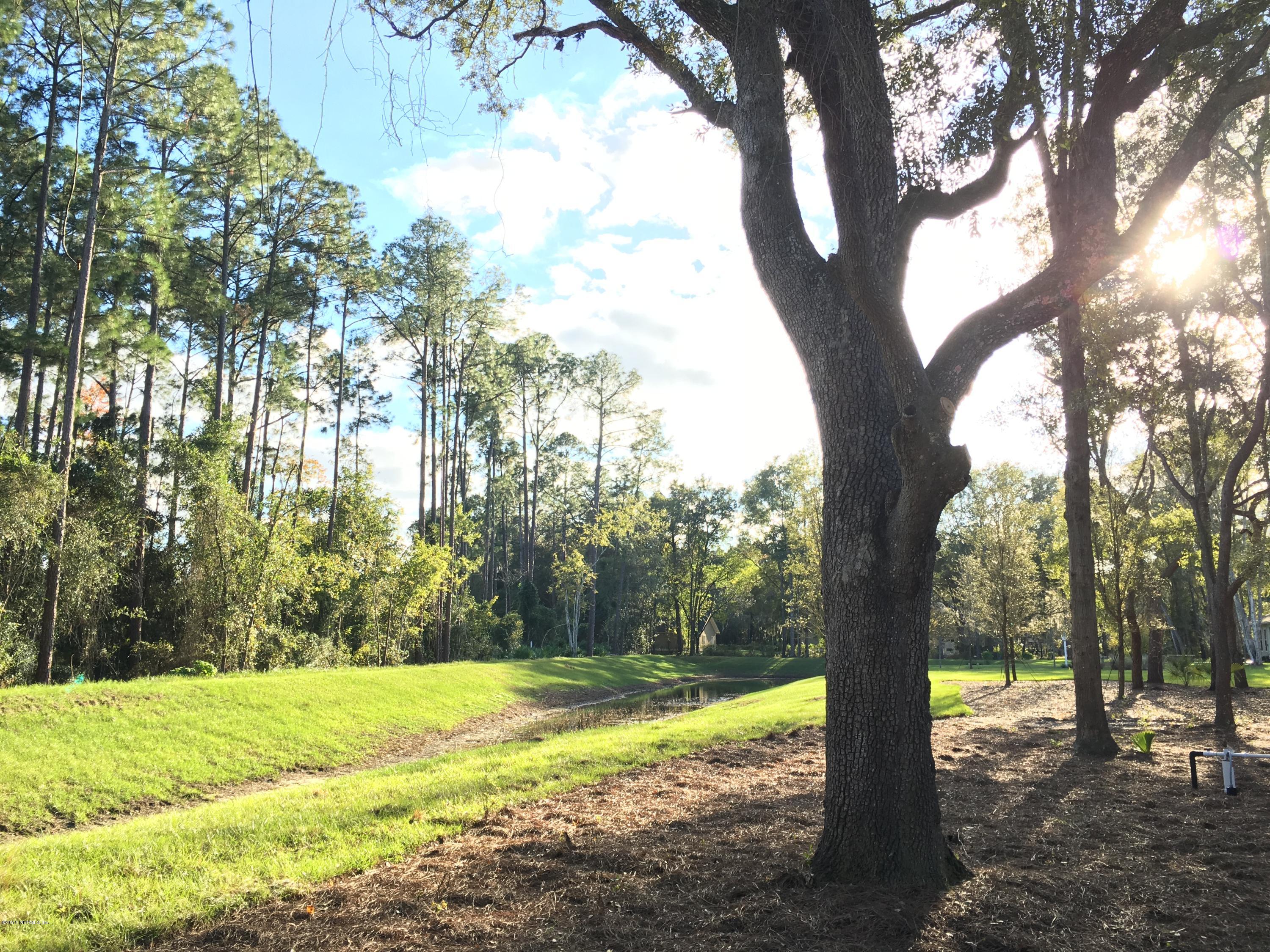 2052 Orange Picker Road Jacksonville, FL 32223 - Photo 22 of 25 Back Yard