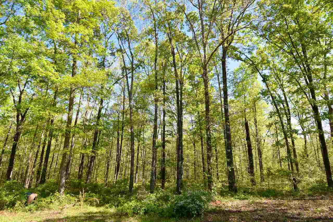 1075 Blount Road Meansville, GA 30256 - Photo 1 of 1 Gallery Image 1