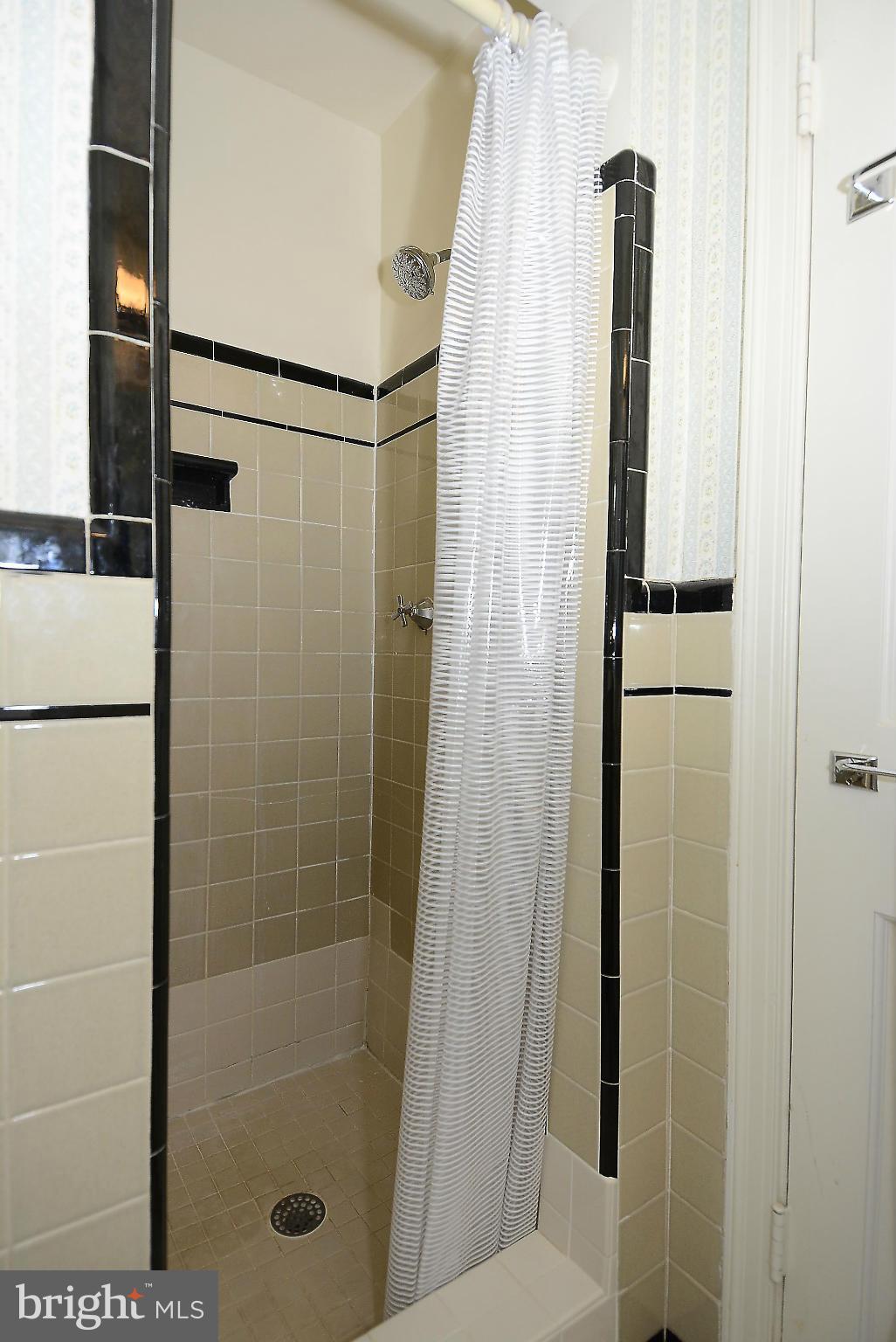 313 Windsor Street Silver Spring, MD 20910 - Photo 17 of 29 Bath (Master)