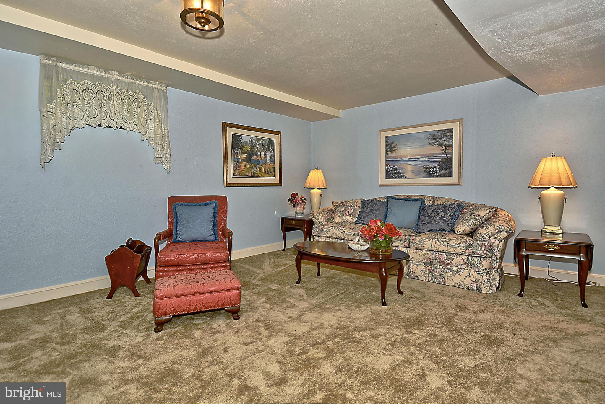 313 Windsor Street Silver Spring, MD 20910 - Photo 25 of 29 Family Room