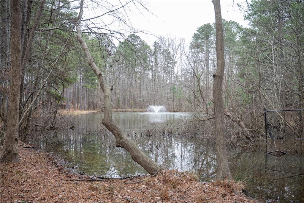 151 Cherokee Point Drive Canton, GA 30114 - Photo 13 of 163