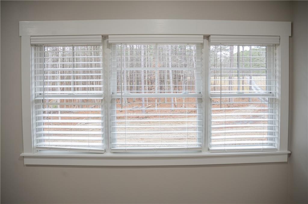 151 Cherokee Point Drive Canton, GA 30114 - Photo 46 of 163 a view of a window