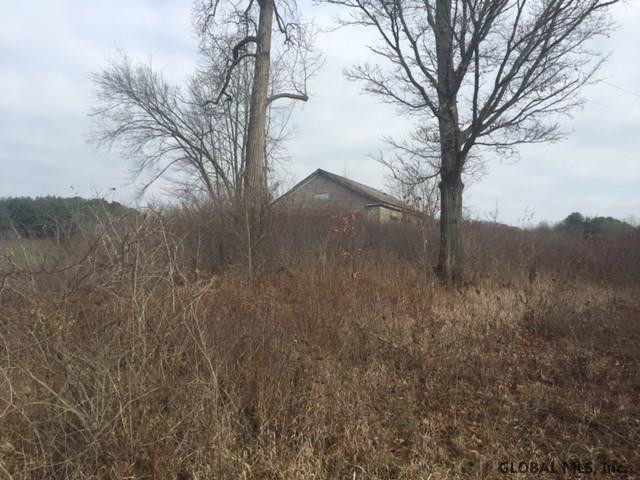 0 Ryan Road Greenwich, NY 12834 - Photo 12 of 14 Photo 12